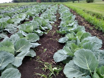 IMG_20160614_163856632