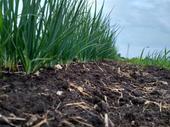 IMG_20160614_164000682_HDR