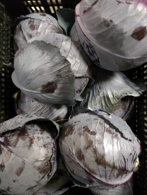 IMG_20160719_120405813