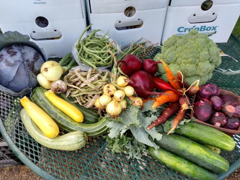 IMG_20160720_161248166_HDR