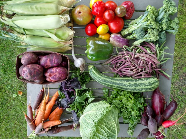 Chatham Preservation Farm photo 9