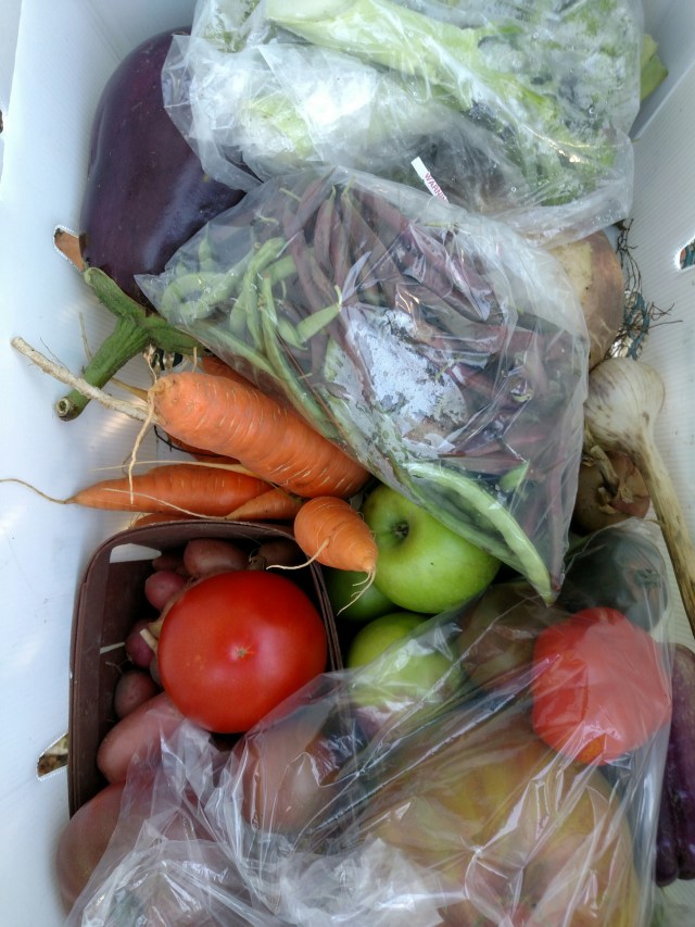 Chatham Preservation Farm photo 11