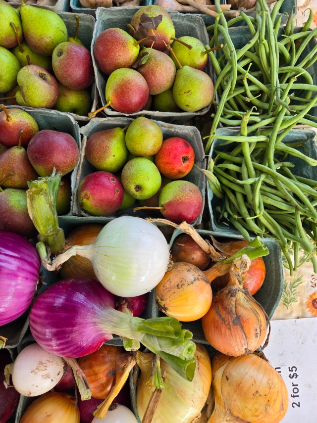 Chatham Preservation Farm photo 15